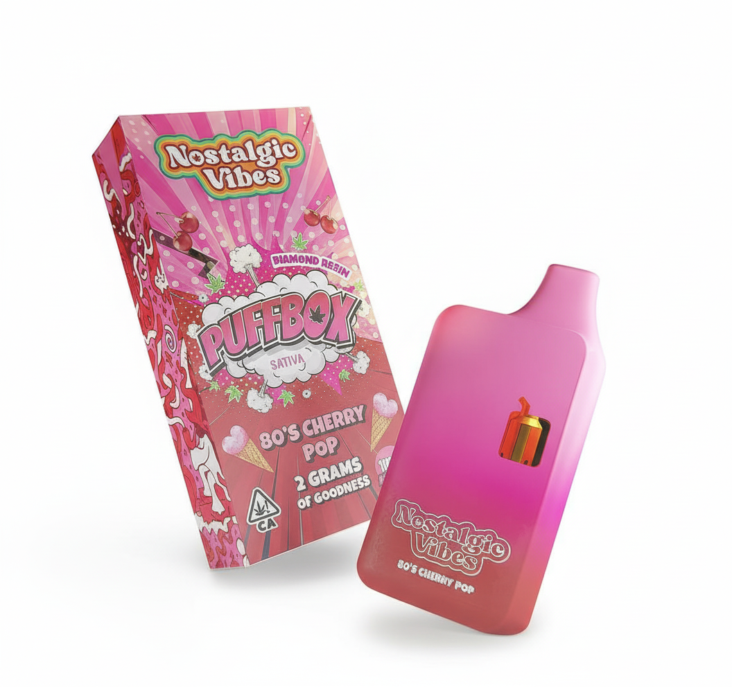 Nostalgic Vibes disposable